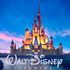 Disney, all'attacco di Netflix e Amazon Prime, lancia il suo servizio streaming