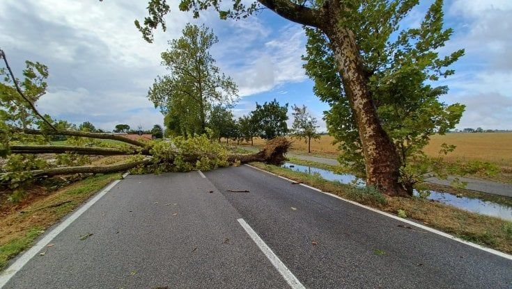 Maltempo, la Regione chiede al Governo lo stato di emergenza nazionale