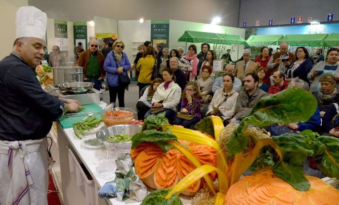 Oasi, l'ulivo in tutte le declinazioni