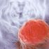 Tumore dell’esofago, buoni risultati per una nuova combinazione di immunoterapie