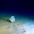 Così le piogge intense aumentano l'inquinamento da microplastiche