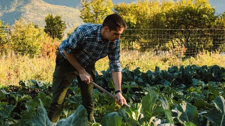 In Valsusa mirabili composte nate dall’amore per la terra