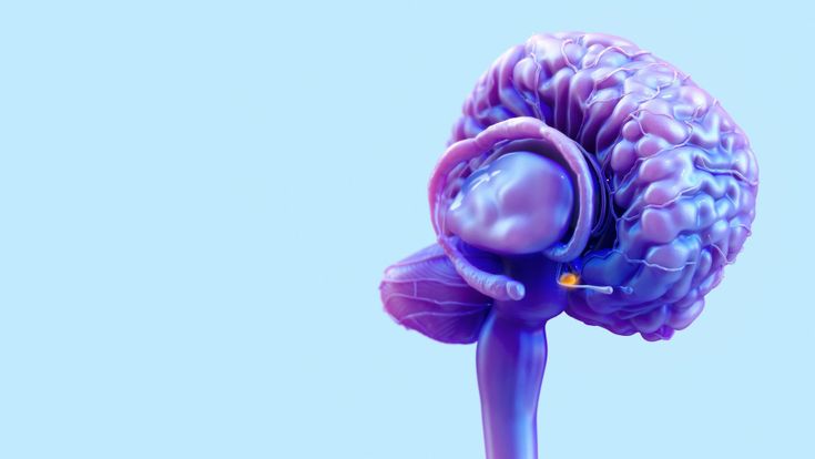 L'eccitante scoperta degli ormoni