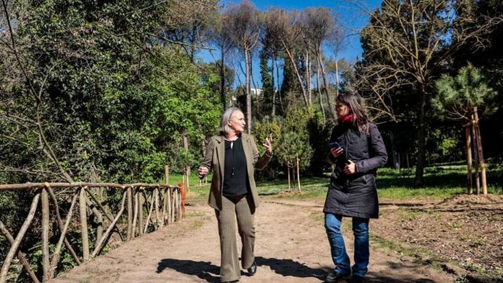 Monte Mario, ritorno al parco: “Ora ogni pianta ha più spazio”