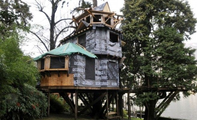 Dell'Utri, condanna bis a 8 mesi<br />per la casa abusiva su un albero