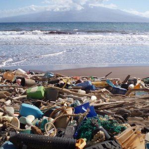 Oceani, come viaggia ''veloce'' l'inquinamento