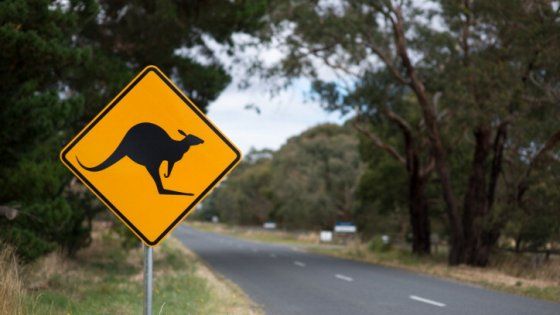 Scoprire l’Australia in ogni stagione