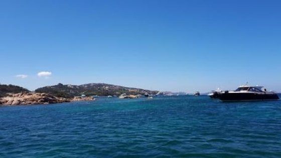 Il giallo della Costa Smeralda, bimba rapita dalla mamma. Scambio di accuse fra i genitori