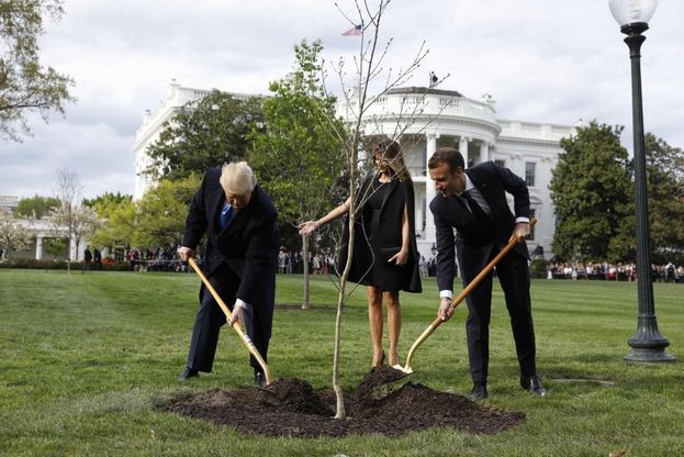 Trump e Macron piantano una quercia 'per la pace': è il regalo di Stato Usa al presidente francese Macron