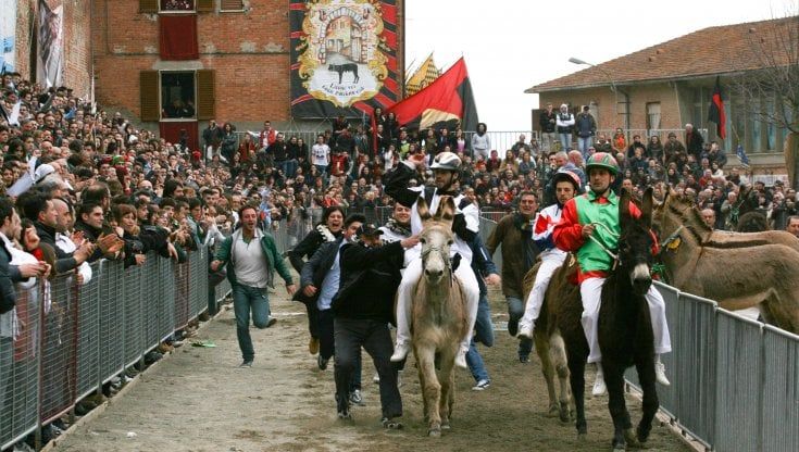 Torrita di Siena, lo scontro sul Palio dei somari degenera da animalista a sessista