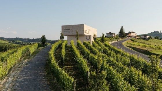 Tra le colline del Barolo la cultura del vino non si ferma