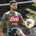 Napoli, Insigne: 