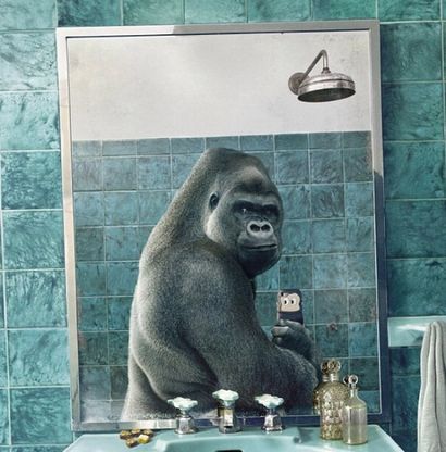 Selfie dalla natura: lo spot mette in posa gli animali