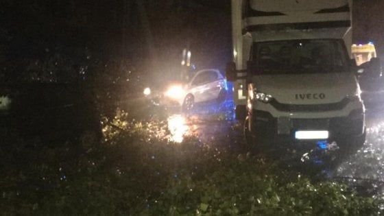 Torino, violento nubifragio: tre alberi cadono sulle auto della tangenziale nord