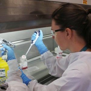 Bill Gates finanzia il vaccino anti coronavirus Ino-4800: test su 40 volontari 