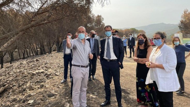 Patuanelli: “Il M5S  non sprecherà l’occasione di questo governo”