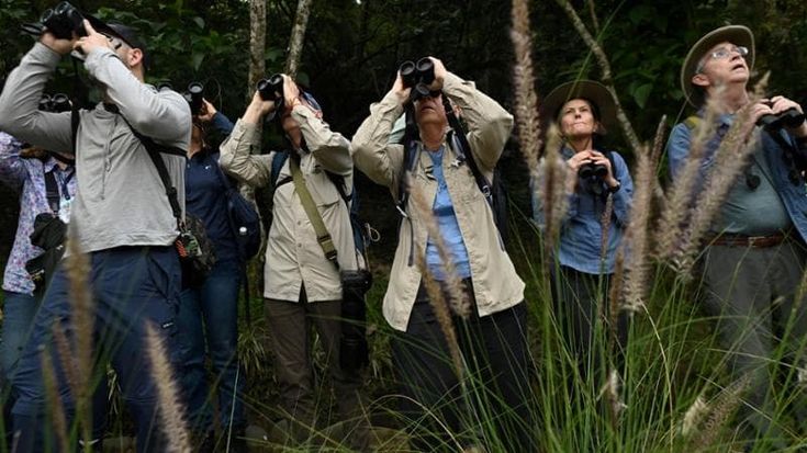 A scuola di birdwatching. “Spiare il mondo con le ali fa bene anche alla mente”