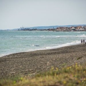 Meteo Lazio, vento forte e mareggiate. Alberi caduti. Giovedì arriva il caldo