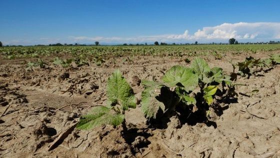 Siccità: gli interventi della Regione a Parma