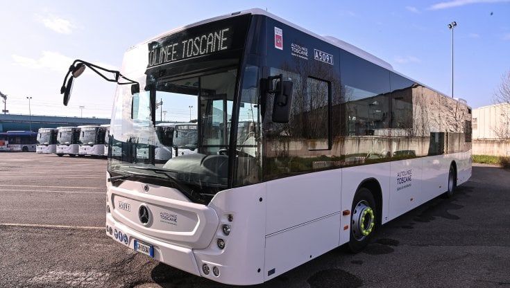 Bar chiuso non può comprare biglietto bus: l'autista lo lascia nel bosco