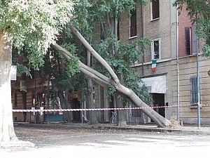 Tromba d'aria e pioggia:<br />paura nella notte a Ferrara