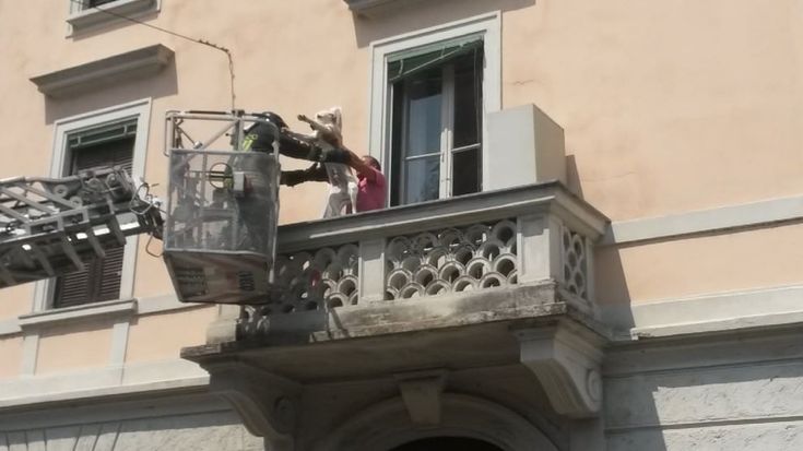 Milano, 3 giorni in balcone sotto il sole: il meticcio abbraccia il suo salvatore