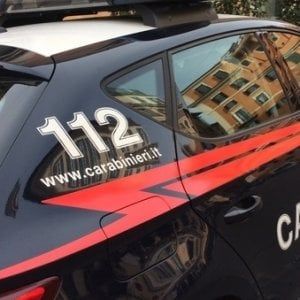 Palermo, cani abbandonati dentro un  furgone. Li salvano i carabinieri