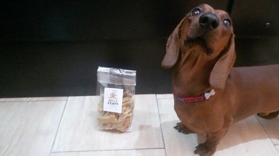 Ragusa:  i dolci "fatti a zampa", la prima pasticceria per cani e gatti 