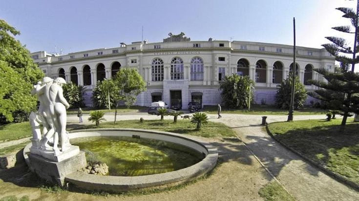 Stazione Zoologica Dohrn, ricercatori contro Bassi: “Gestione autarchica e irrispettosa”