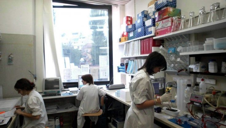 Covid, ecco come funziona l'anticorpo che 'blocca' il virus