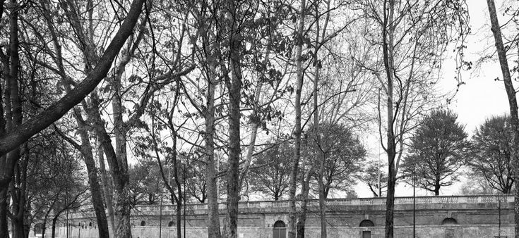 Scatti social dell’architetto fotografo 