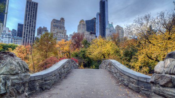 Il foliage del Nordamerica