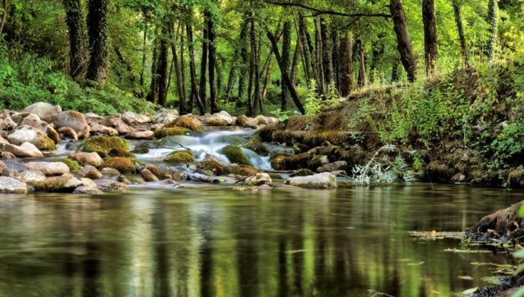 Antonio Nicoletti: "La Basilicata è la nuova terra green: siamo pronti a ripartire"