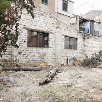 Palermo, albero abbattuto ai Cantieri della Zisa. Docenti e allievi dell'Accademia di Belle arti: "Perché?"