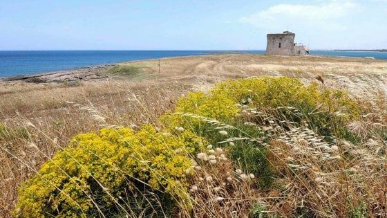 Brindisi, vietato fumare nella riserva di Torre Guaceto: "Per il bene vostro e dell'ambiente"