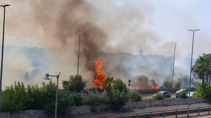 In fiamme l’area intorno a Porte di Roma, i soccorritori a protezione del rifugio per cani