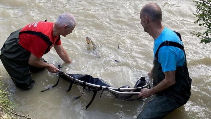 Bracconieri assaltano un allevamento ittico: 90 storioni uccisi a bastonate per il mercato nero