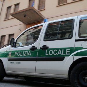 Milano, bambina di tre anni morsicata al volto da un meticcio in un'area cani