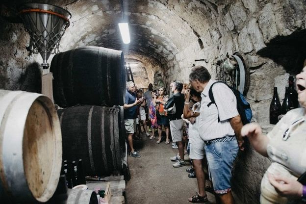 Ischia, la bellezza è nelle cantine: tour guidati fino a domenica