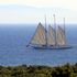 Il Picasso recuperato in Corsica