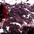 K2, la verità 60 anni dopo: "Compagnoni e Lacedelli erano a corto di ossigeno"