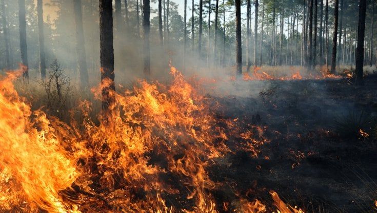 Grazie ai droni, lotta rafforzata agli incendi