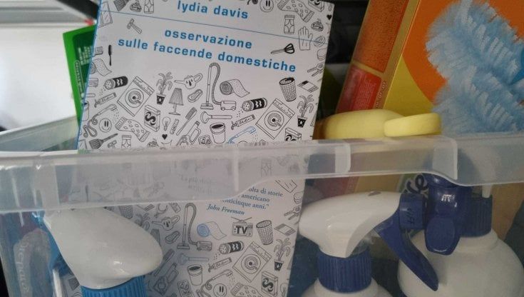 Impertinenti domestiche 