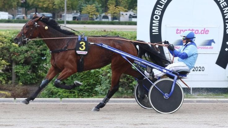 Pietro “Pippo” Gubellini: “Con Varenne è finita l’epoca d’oro, abbiamo sprecato un’occasione”