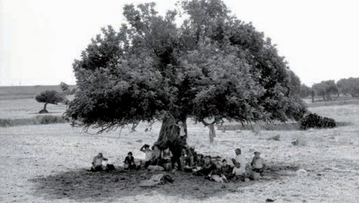 Pausa pranzo in Sicilia, gli scatti d'arte di Giuseppe Leone