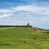 Puerto Rico, tutti i colori nella ‘Isla del encanto’ 