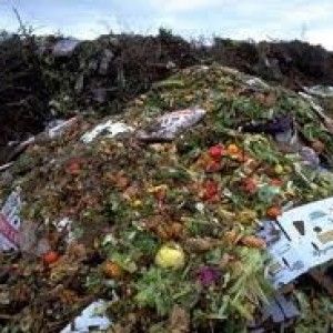 Le famiglie italiane sprecano cibo per 8,7 miliardi