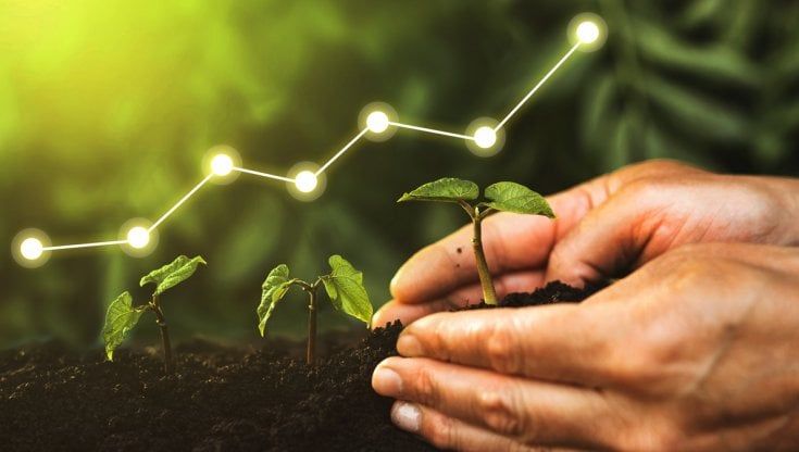 Fondi Esg: sono i prodotti "climatici" a far registrare i tassi di crescita più alti