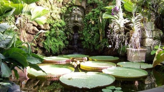 Ischia, Giardini La Mortella: visite guidate durante le festività Natalizie