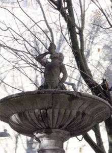 La forma dell'acqua